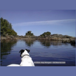 2002_067_Diana_Island_BarkleySound.html