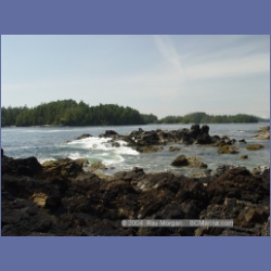 2003_2647_Dicebox_Island_Barkley_Sound.html