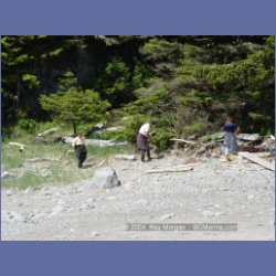 2003_2650_Dicebox_Island_Barkley_Sound.html