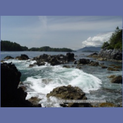 2003_2651_Dicebox_Island_Barkley_Sound.html