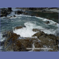 2003_2654_Dicebox_Island_Barkley_Sound.html