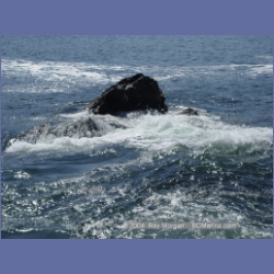 2003_2655_Dicebox_Island_Barkley_Sound.html