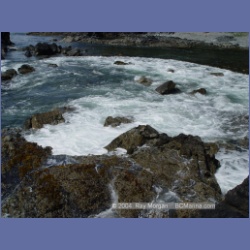 2003_2657_Dicebox_Island_Barkley_Sound.html