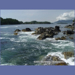 2003_2658_Dicebox_Island_Barkley_Sound.html