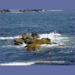 2003_2663_Dicebox_Island_Barkley_Sound.html