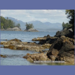 2003_2671_Dicebox_Island_Barkley_Sound.html