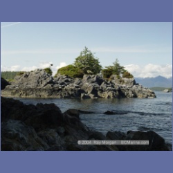 2003_2672_Dicebox_Island_Barkley_Sound.html