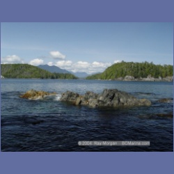 2003_2675_Dicebox_Island_Barkley_Sound.html