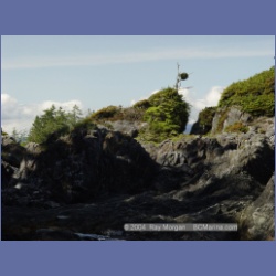 2003_2676_Dicebox_Island_Barkley_Sound.html
