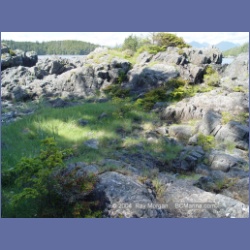 2003_2677_Dicebox_Island_Barkley_Sound.html