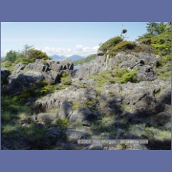2003_2678_Dicebox_Island_Barkley_Sound.html