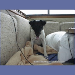 2000_515_Edgar_Seasick.html