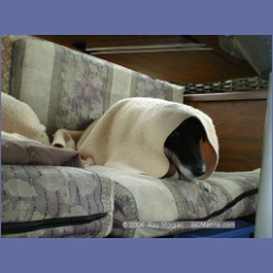 2001_308_Edgar.html