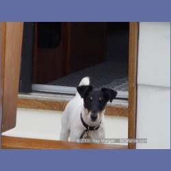 2003_2431_Jimmy.html