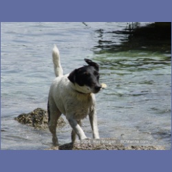 2003_2495_Edgar_Cooper_Island_Barkley_Sound.html