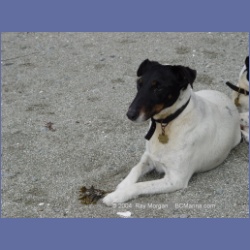 2003_2592_Edgar_Barkley_Sound.html