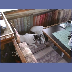 200X_054_Dogs.html