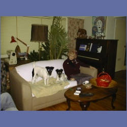 200X_151_Dogs.html