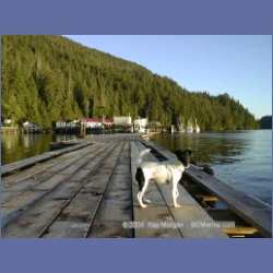 1998_001_Duncanby_Landing.html