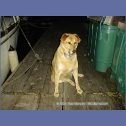 1998_612_Duncanby_Landing.html