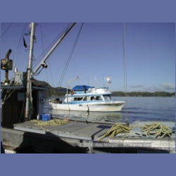 2000_443_Duncanby_Landing.html
