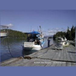 2000_444_Duncanby_Landing.html
