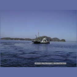 2002_768_Duncanby_Landing.html
