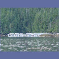 2003_4677_Duncanby_Landing.html