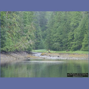 2006_2277_El_Capitan_Cave_Alaska.JPG