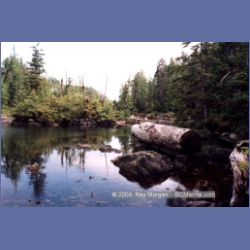 1998_emilycarr13.html
