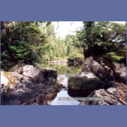1998_emilycarr14.html