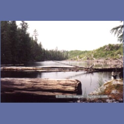 1998_emilycarr15.html