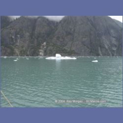 1999_223_Endicott_Arm.html