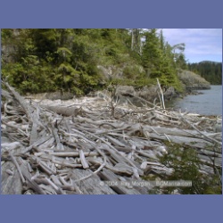 2002_291_Port_Eliza_Esperanza_Inlet.html