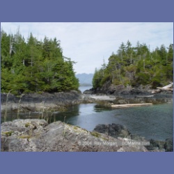 2003_3025_Rosa_Island_Esperanza_Inlet.html
