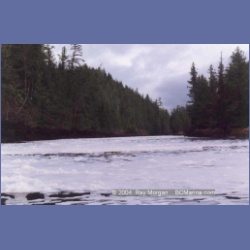 1997_fishegg_inlet119.html