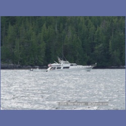2003_4657_Fitzhugh_Sound.html