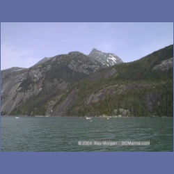 1999_181_Fords_Terror.html