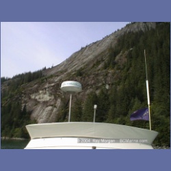 1999_185_Fords_Terror.html