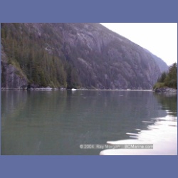 1999_190_Fords_Terror.html