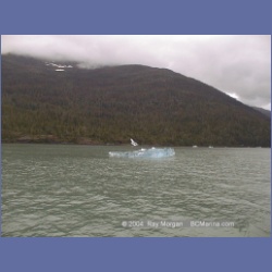1999_203_Fords_Terror.html