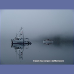 2004_8146_Forward_Harbour.html
