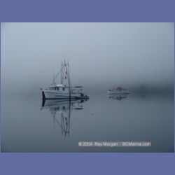 2004_8153_Forward_Harbour.html