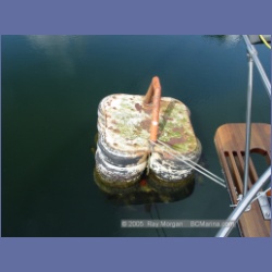 2005_1791_Freeman_Passage_Kitkatla_Inlet.html