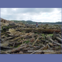 2005_1798_Freeman_Passage_Kitkatla_Inlet.html