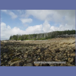 2005_1799_Freeman_Passage_Kitkatla_Inlet.html