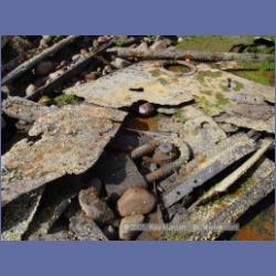 2005_1801_Freeman_Passage_Kitkatla_Inlet.html