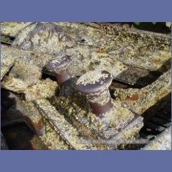 2005_1802_Freeman_Passage_Kitkatla_Inlet.html