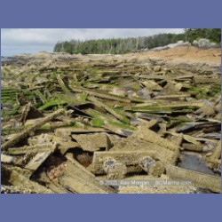 2005_1812_Freeman_Passage_Kitkatla_Inlet.html