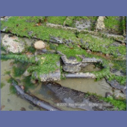 2005_1817_Freeman_Passage_Kitkatla_Inlet.html